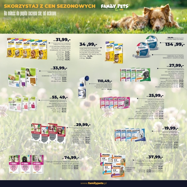 ZOO KARINA - Wiosenna ochrona dla psów i kotów!